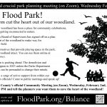 Protect Flood Park - Balance